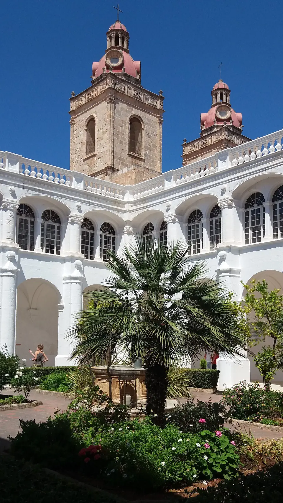 Claustre amb palmera i torres d’una església al fons