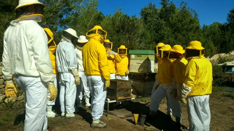 Apicultors amb vestits protectors grocs vora els ruscs