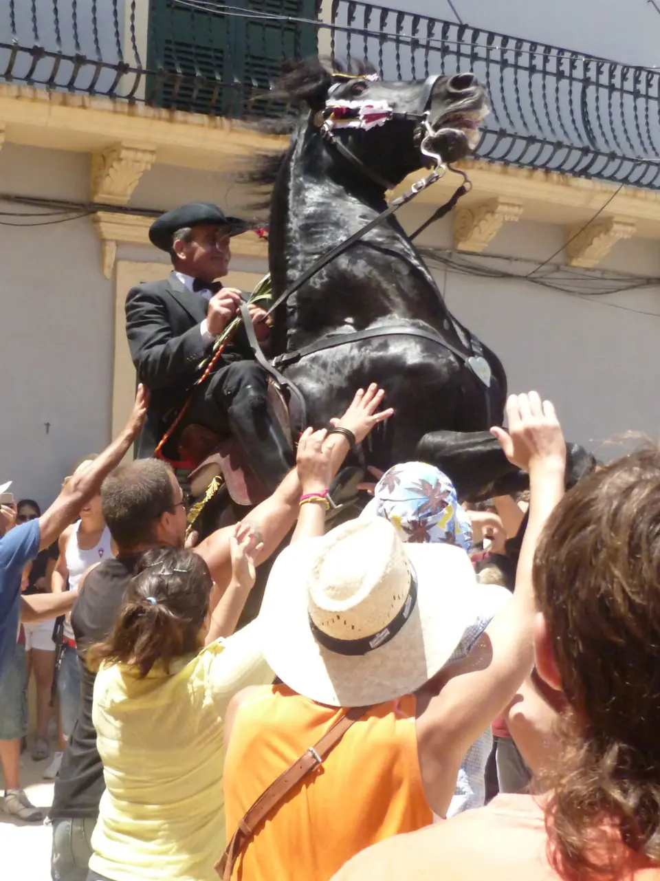 Cavall negre alçat sobre les potes del darrere entre el públic