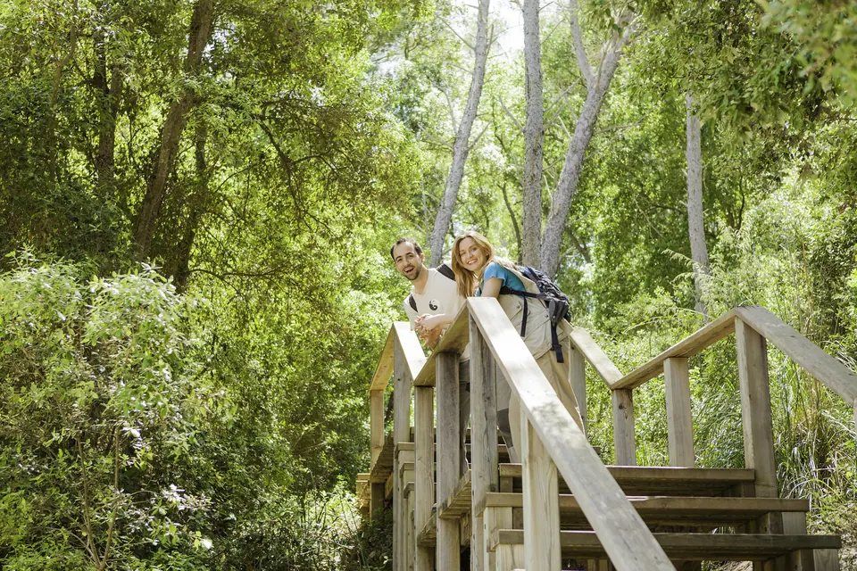 Excursionista en una escala de fusta entre arbres