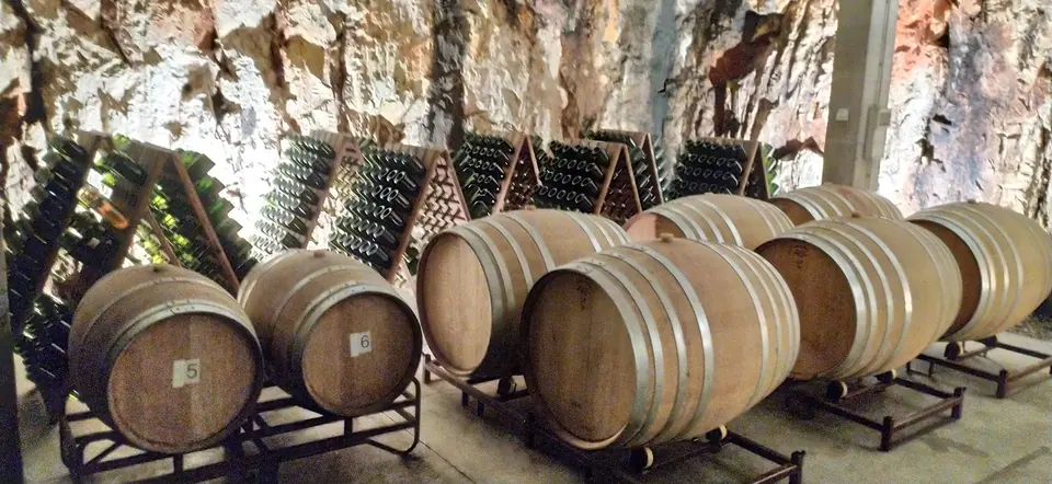Bótes de vi en un celler excavat a la roca