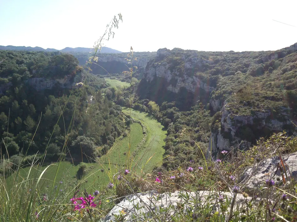 Burrone con valle verde e vegetazione visto dall’alto