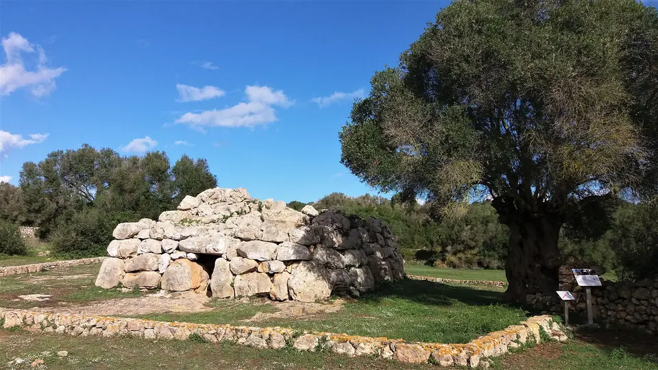 Naveta Nord de Rafal Rubí, construcció de pedra al costat d’un gran ullastre