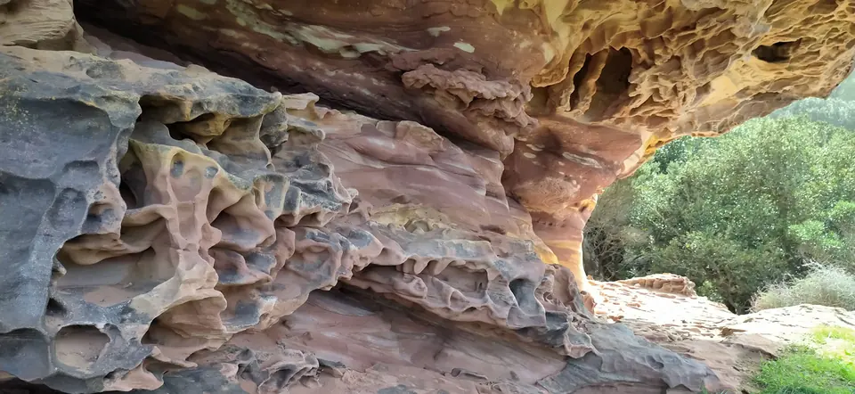 Roccia di arenaria erosa con cavità e vegetazione