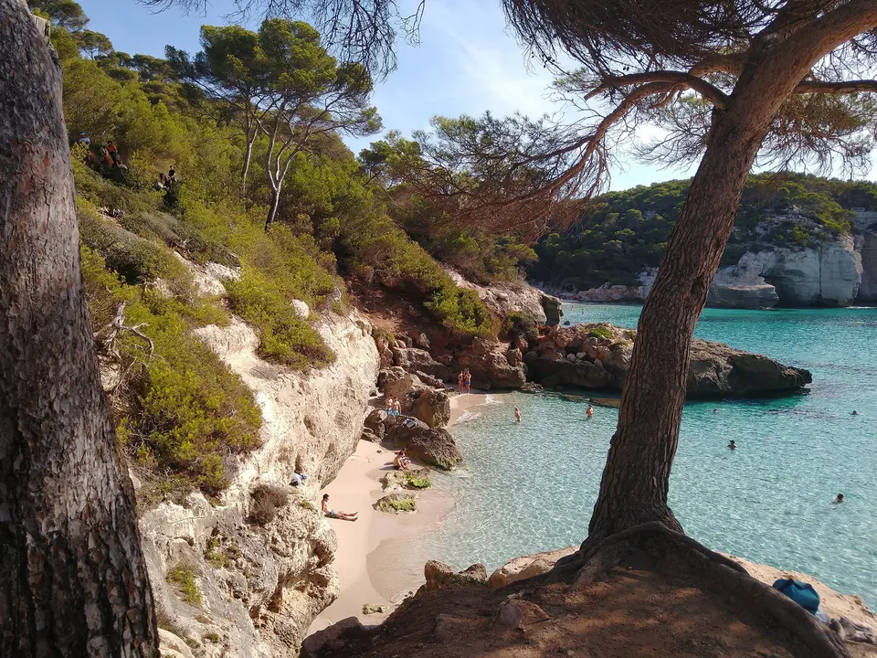 Cala Mitjaneta: cala petita de sorra clara entre pins