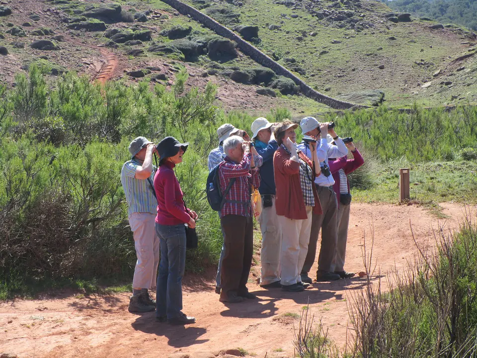 Grup d’excursionistes observant ocells des d’un sender