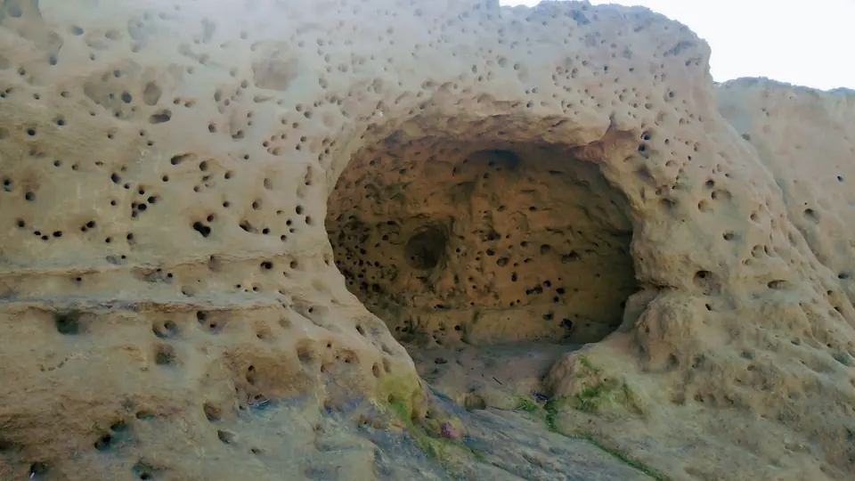 Cavità arrotondata in una roccia chiara e porosa