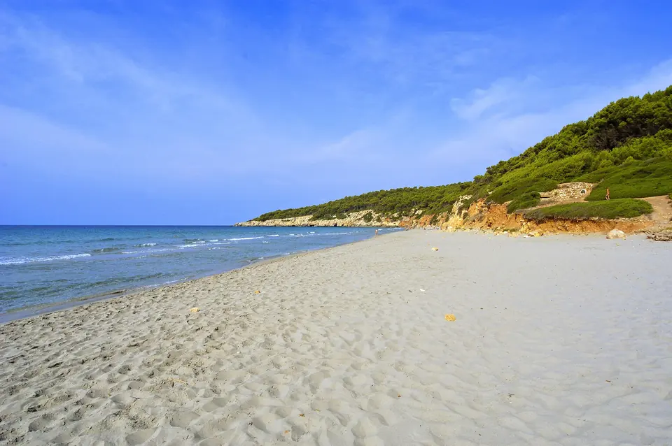 Binigaus: platja llarga de sorra clara amb vegetació al fons