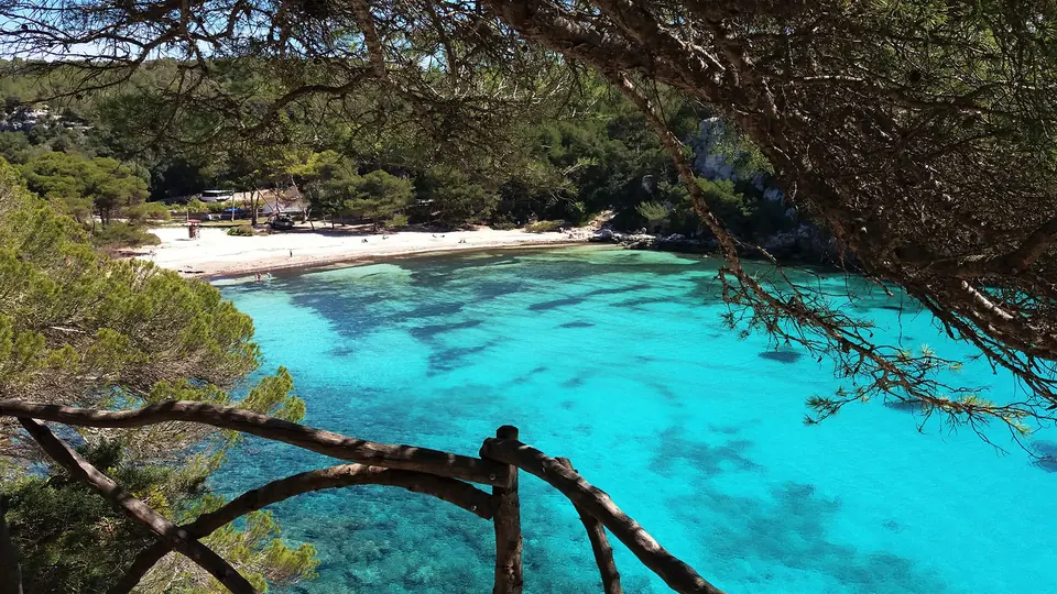 Macarella: cala d’aigües turquesa vista entre les branques d’un pi
