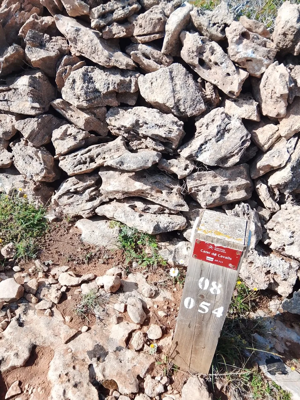 Pal de fusta del Camí de Cavalls amb la placa vermella del GR 223 i el número 08 054, al costat d’una paret de pedra seca